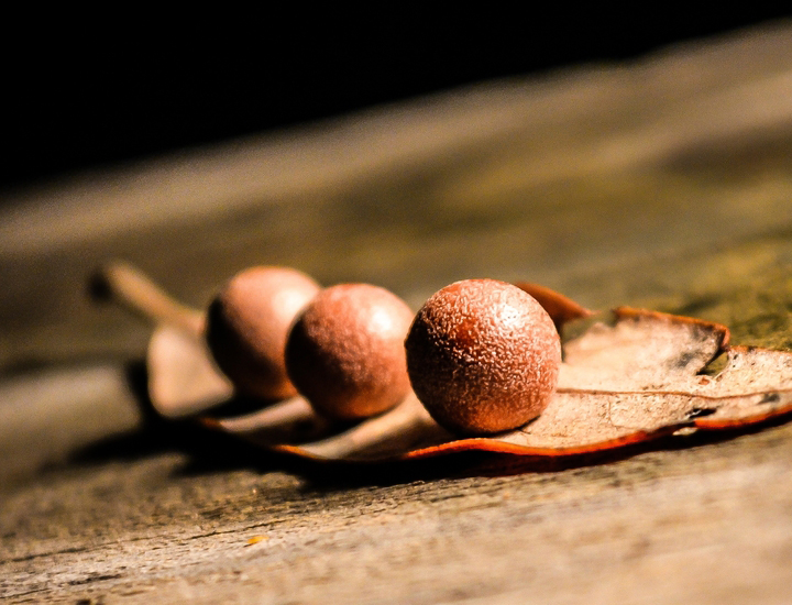 网站ddos隐藏源ip